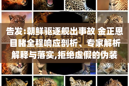 告發(fā):朝鮮驅(qū)逐艦出事故 金正恩目睹全程響應(yīng)剖析、專家解析解釋與落實(shí),拒絕虛假的偽裝
