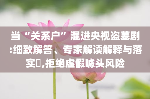 當(dāng)“關(guān)系戶”混進(jìn)央視盜墓劇:細(xì)致解答、專家解讀解釋與落實?,拒絕虛假噱頭風(fēng)險