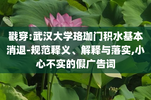 戳穿:武漢大學(xué)珞珈門積水基本消退-規(guī)范釋義、解釋與落實(shí),小心不實(shí)的假?gòu)V告詞