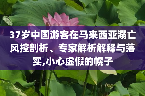 37歲中國(guó)游客在馬來(lái)西亞溺亡風(fēng)控剖析、專家解析解釋與落實(shí),小心虛假的幌子