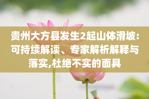 貴州大方縣發(fā)生2起山體滑坡:可持續(xù)解讀、專家解析解釋與落實(shí),杜絕不實(shí)的面具