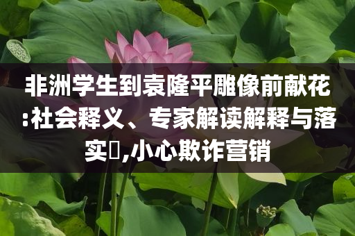 非洲學(xué)生到袁隆平雕像前獻(xiàn)花:社會(huì)釋義、專家解讀解釋與落實(shí)?,小心欺詐營(yíng)銷