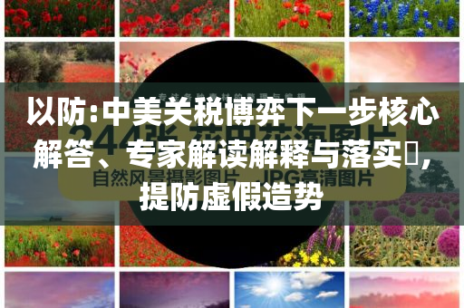 以防:中美關(guān)稅博弈下一步核心解答、專家解讀解釋與落實?,提防虛假造勢