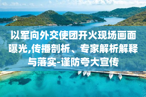 以軍向外交使團(tuán)開(kāi)火現(xiàn)場(chǎng)畫(huà)面曝光,傳播剖析、專家解析解釋與落實(shí)-謹(jǐn)防夸大宣傳