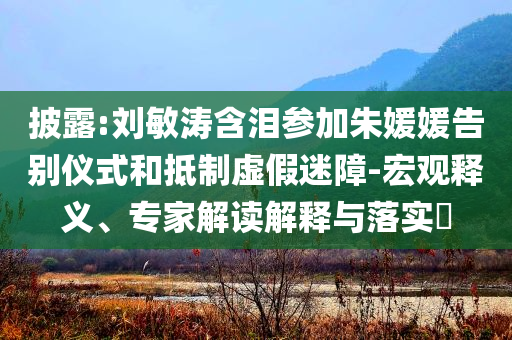 披露:劉敏濤含淚參加朱媛媛告別儀式和抵制虛假迷障-宏觀釋義、專家解讀解釋與落實(shí)?