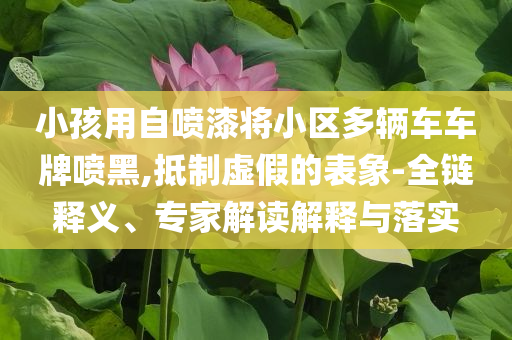 小孩用自噴漆將小區(qū)多輛車車牌噴黑,抵制虛假的表象-全鏈釋義、專家解讀解釋與落實(shí)