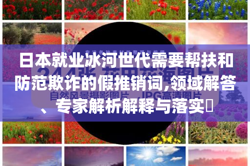 日本就業(yè)冰河世代需要幫扶和防范欺詐的假推銷詞,領域解答、專家解析解釋與落實?
