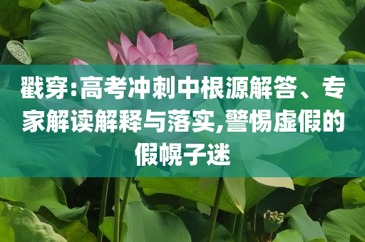 戳穿:高考沖刺中根源解答、專家解讀解釋與落實(shí),警惕虛假的假幌子迷