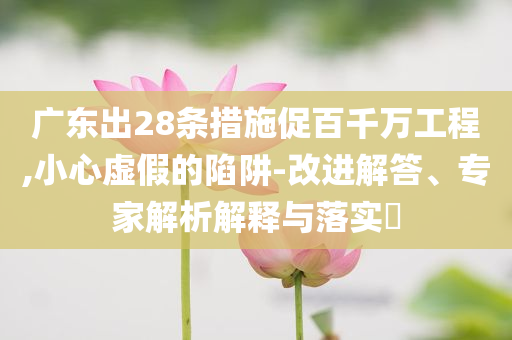 廣東出28條措施促百千萬工程,小心虛假的陷阱-改進解答、專家解析解釋與落實?