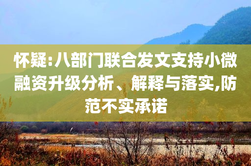 懷疑:八部門聯(lián)合發(fā)文支持小微融資升級分析、解釋與落實,防范不實承諾