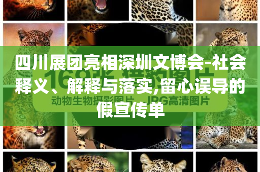 四川展團(tuán)亮相深圳文博會(huì)-社會(huì)釋義、解釋與落實(shí),留心誤導(dǎo)的假宣傳單