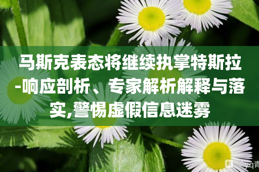 馬斯克表態(tài)將繼續(xù)執(zhí)掌特斯拉-響應(yīng)剖析、專家解析解釋與落實,警惕虛假信息迷霧
