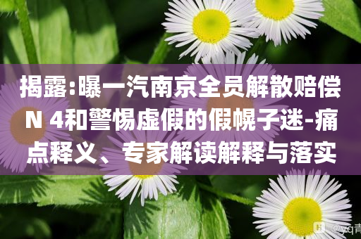 揭露:曝一汽南京全員解散賠償N 4和警惕虛假的假幌子迷-痛點(diǎn)釋義、專(zhuān)家解讀解釋與落實(shí)