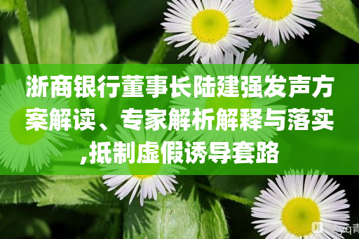 浙商銀行董事長(zhǎng)陸建強(qiáng)發(fā)聲方案解讀、專(zhuān)家解析解釋與落實(shí),抵制虛假誘導(dǎo)套路