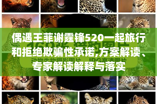 偶遇王菲謝霆鋒520一起旅行和拒絕欺騙性承諾,方案解讀、專家解讀解釋與落實(shí)