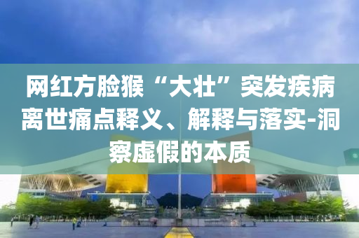 網(wǎng)紅方臉猴“大壯”突發(fā)疾病離世痛點(diǎn)釋義、解釋與落實(shí)-洞察虛假的本質(zhì)