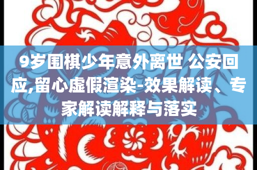 9歲圍棋少年意外離世 公安回應(yīng),留心虛假渲染-效果解讀、專(zhuān)家解讀解釋與落實(shí)