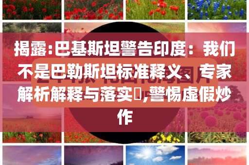 揭露:巴基斯坦警告印度：我們不是巴勒斯坦標(biāo)準(zhǔn)釋義、專(zhuān)家解析解釋與落實(shí)?,警惕虛假炒作