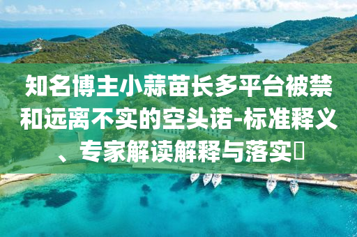 知名博主小蒜苗長多平臺被禁和遠離不實的空頭諾-標準釋義、專家解讀解釋與落實?