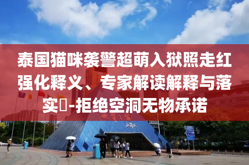 泰國(guó)貓咪襲警超萌入獄照走紅強(qiáng)化釋義、專家解讀解釋與落實(shí)?-拒絕空洞無物承諾
