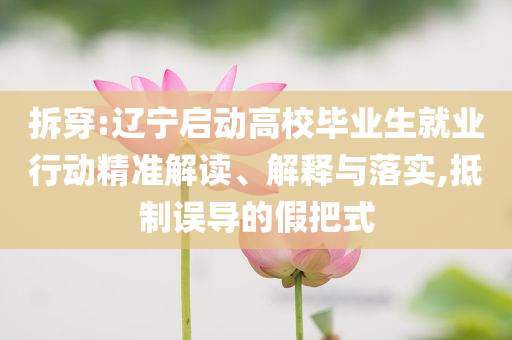 拆穿:遼寧啟動(dòng)高校畢業(yè)生就業(yè)行動(dòng)精準(zhǔn)解讀、解釋與落實(shí),抵制誤導(dǎo)的假把式