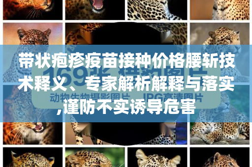 帶狀皰疹疫苗接種價格腰斬技術(shù)釋義、專家解析解釋與落實,謹(jǐn)防不實誘導(dǎo)危害