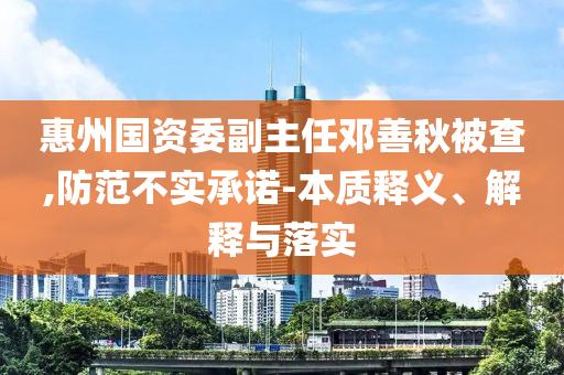 惠州國資委副主任鄧善秋被查,防范不實承諾-本質(zhì)釋義、解釋與落實