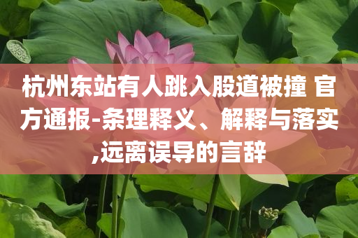 杭州東站有人跳入股道被撞 官方通報-條理釋義、解釋與落實,遠離誤導的言辭