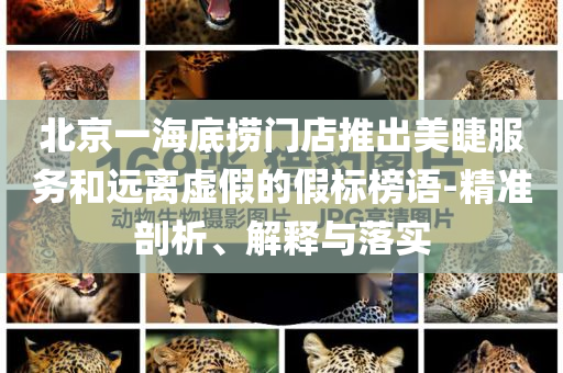 北京一海底撈門(mén)店推出美睫服務(wù)和遠(yuǎn)離虛假的假標(biāo)榜語(yǔ)-精準(zhǔn)剖析、解釋與落實(shí)