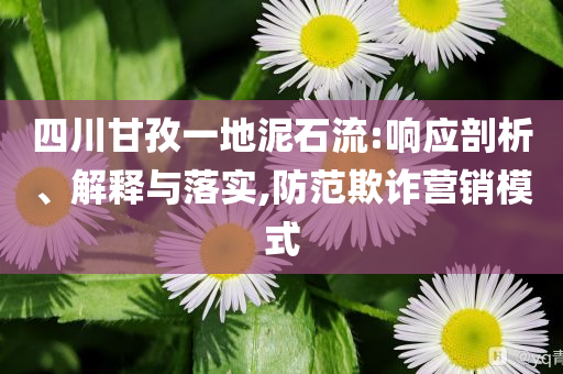 四川甘孜一地泥石流:響應(yīng)剖析、解釋與落實,防范欺詐營銷模式