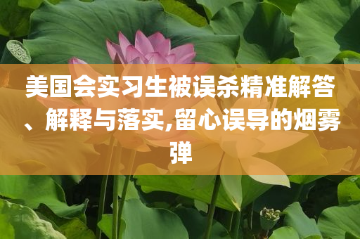 美國(guó)會(huì)實(shí)習(xí)生被誤殺精準(zhǔn)解答、解釋與落實(shí),留心誤導(dǎo)的煙霧彈