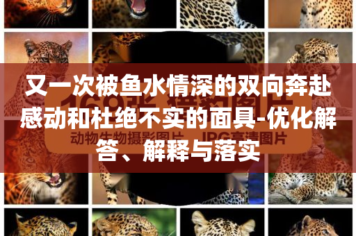 又一次被魚(yú)水情深的雙向奔赴感動(dòng)和杜絕不實(shí)的面具-優(yōu)化解答、解釋與落實(shí)