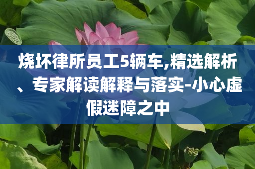 燒壞律所員工5輛車,精選解析、專家解讀解釋與落實(shí)-小心虛假迷障之中