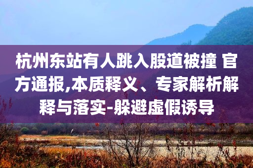 杭州東站有人跳入股道被撞 官方通報(bào),本質(zhì)釋義、專(zhuān)家解析解釋與落實(shí)-躲避虛假誘導(dǎo)