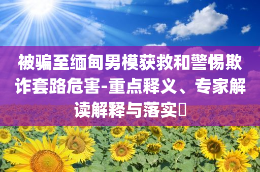被騙至緬甸男模獲救和警惕欺詐套路危害-重點釋義、專家解讀解釋與落實?
