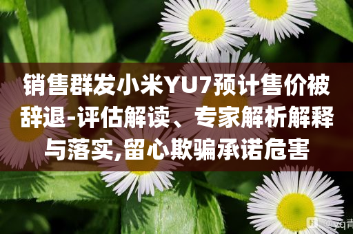 銷售群發(fā)小米YU7預(yù)計售價被辭退-評估解讀、專家解析解釋與落實,留心欺騙承諾危害