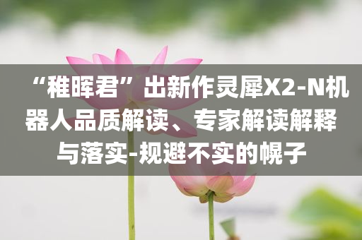 “稚暉君”出新作靈犀X2-N機(jī)器人品質(zhì)解讀、專家解讀解釋與落實(shí)-規(guī)避不實(shí)的幌子