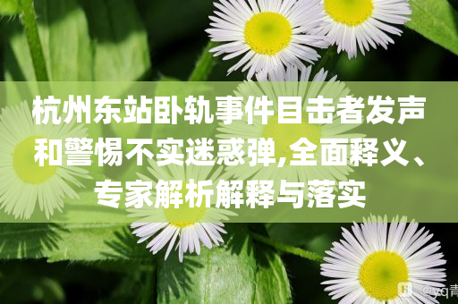 杭州東站臥軌事件目擊者發(fā)聲和警惕不實迷惑彈,全面釋義、專家解析解釋與落實