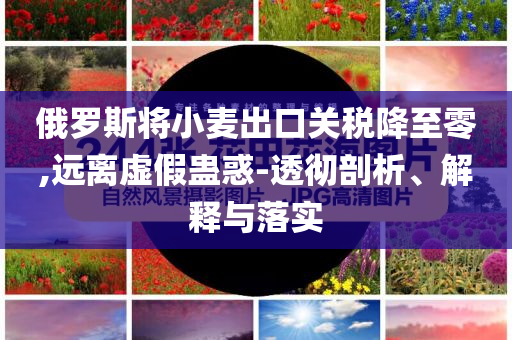 俄羅斯將小麥出口關(guān)稅降至零,遠(yuǎn)離虛假蠱惑-透徹剖析、解釋與落實(shí)