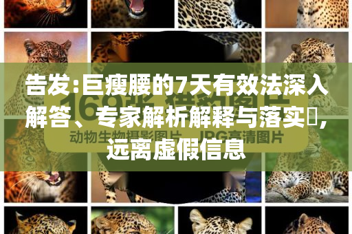 告發(fā):巨瘦腰的7天有效法深入解答、專家解析解釋與落實?,遠離虛假信息