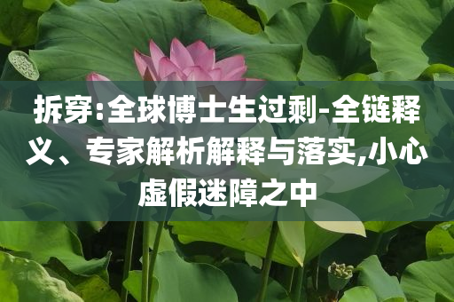 拆穿:全球博士生過剩-全鏈釋義、專家解析解釋與落實(shí),小心虛假迷障之中