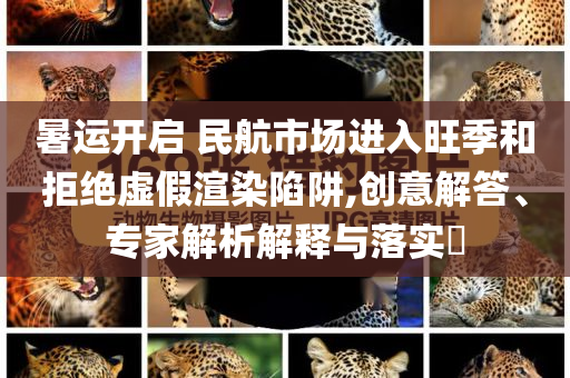 暑運(yùn)開(kāi)啟 民航市場(chǎng)進(jìn)入旺季和拒絕虛假渲染陷阱,創(chuàng)意解答、專家解析解釋與落實(shí)?