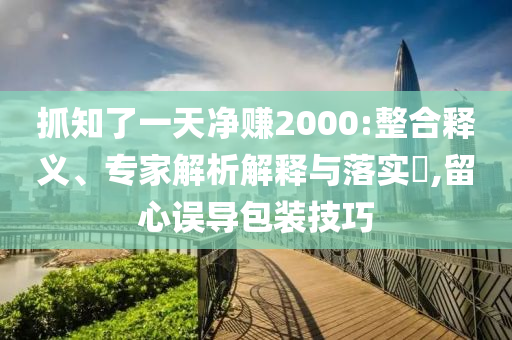 抓知了一天凈賺2000:整合釋義、專家解析解釋與落實?,留心誤導包裝技巧