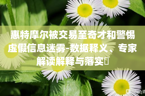 惠特摩爾被交易至奇才和警惕虛假信息迷霧-數(shù)據(jù)釋義、專(zhuān)家解讀解釋與落實(shí)?