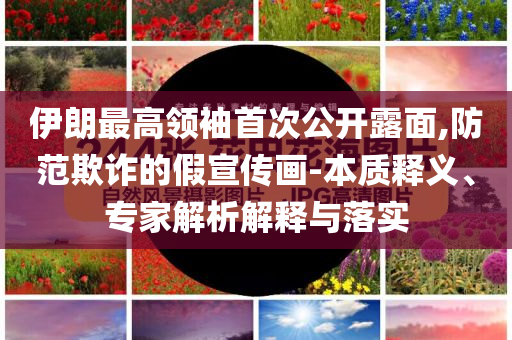 伊朗最高領(lǐng)袖首次公開露面,防范欺詐的假宣傳畫-本質(zhì)釋義、專家解析解釋與落實(shí)
