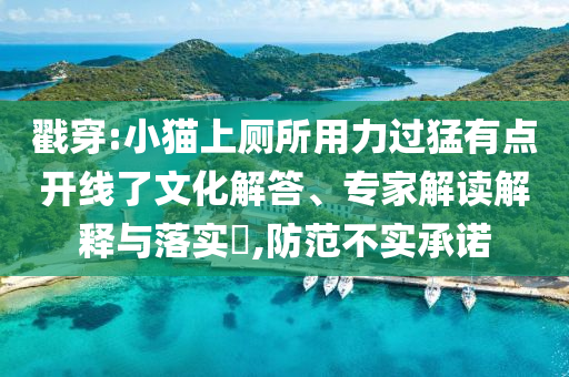 戳穿:小貓上廁所用力過猛有點開線了文化解答、專家解讀解釋與落實?,防范不實承諾