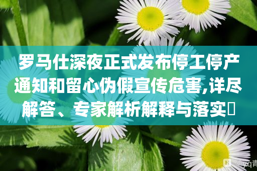 羅馬仕深夜正式發(fā)布停工停產(chǎn)通知和留心偽假宣傳危害,詳盡解答、專家解析解釋與落實?