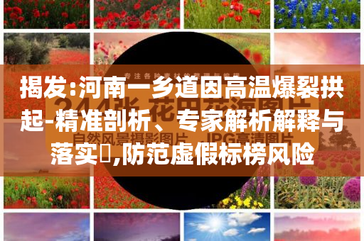 揭發(fā):河南一鄉(xiāng)道因高溫爆裂拱起-精準(zhǔn)剖析、專家解析解釋與落實?,防范虛假標(biāo)榜風(fēng)險