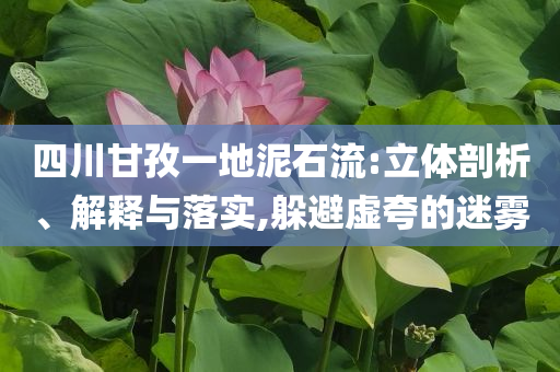 四川甘孜一地泥石流:立體剖析、解釋與落實(shí),躲避虛夸的迷霧