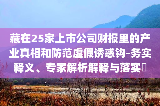 藏在25家上市公司財報里的產(chǎn)業(yè)真相和防范虛假誘惑鉤-務(wù)實釋義、專家解析解釋與落實?